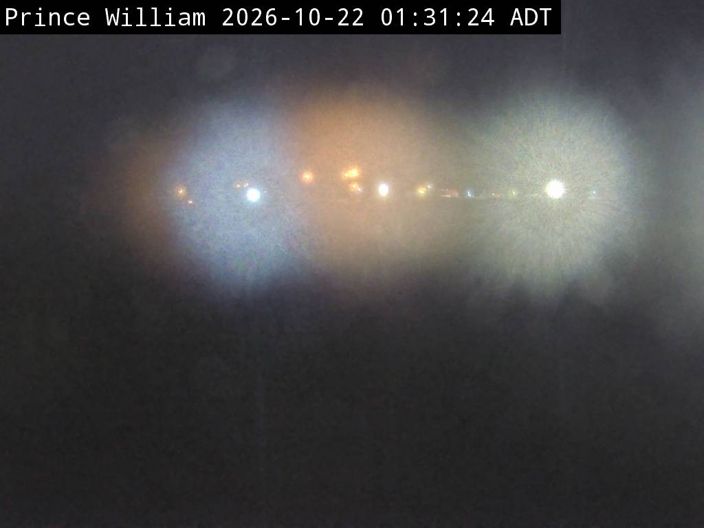 Web Cam image of Prince William (NB Highway 2)