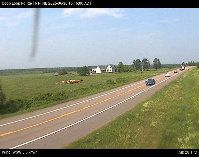 Web Cam image of Copp Loop Road (NB Highway 16)