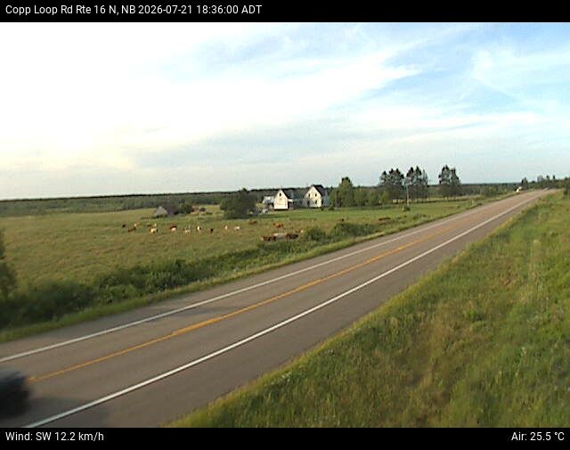Web Cam image of Copp Loop Road (NB Highway 16)