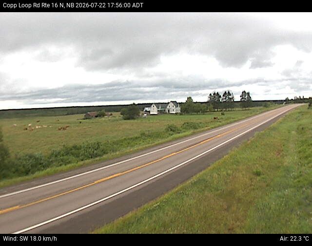 Web Cam image of Copp Loop Road (NB Highway 16)