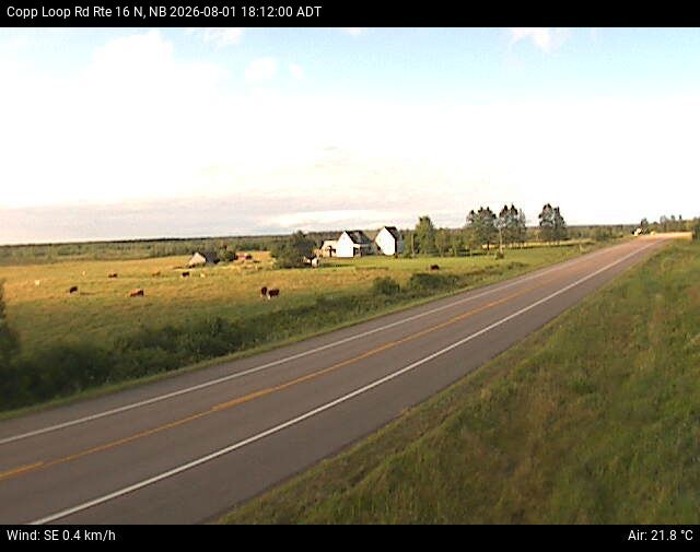 Web Cam image of Copp Loop Road (NB Highway 16)