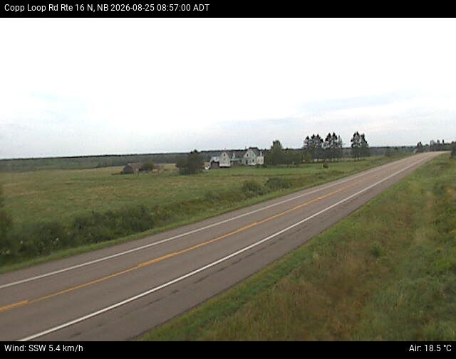 Web Cam image of Copp Loop Road (NB Highway 16)