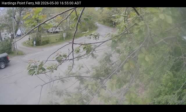 Web Cam image of Hardings Point