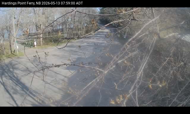 Web Cam image of Hardings Point