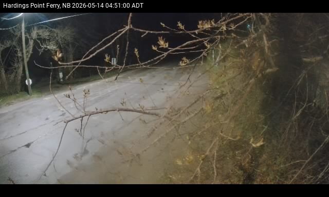 Web Cam image of Hardings Point