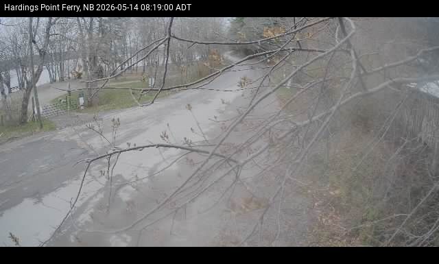 Web Cam image of Hardings Point