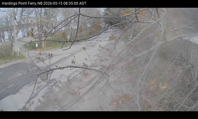 Web Cam image of Hardings Point