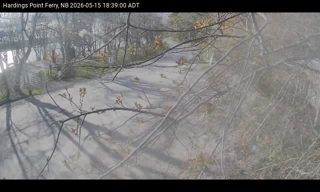 Web Cam image of Hardings Point