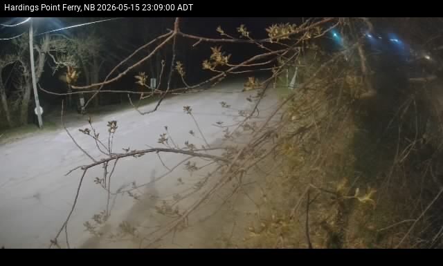 Web Cam image of Hardings Point