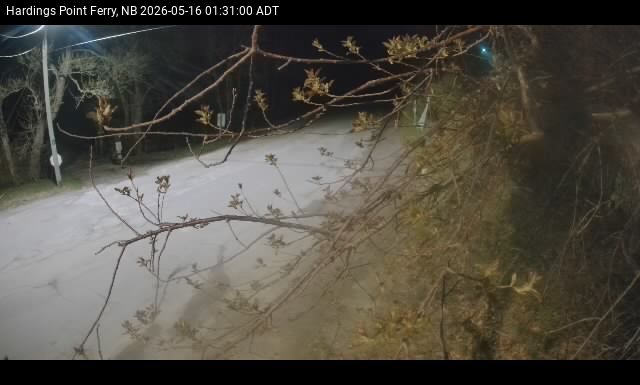 Web Cam image of Hardings Point