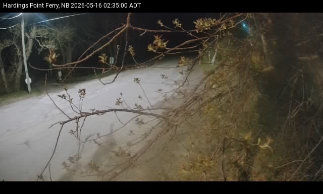 Web Cam image of Hardings Point