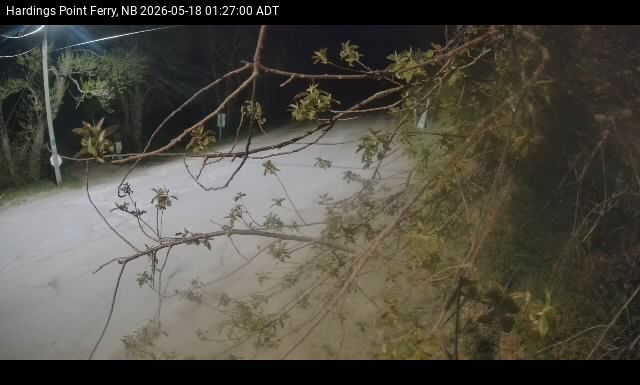 Web Cam image of Hardings Point