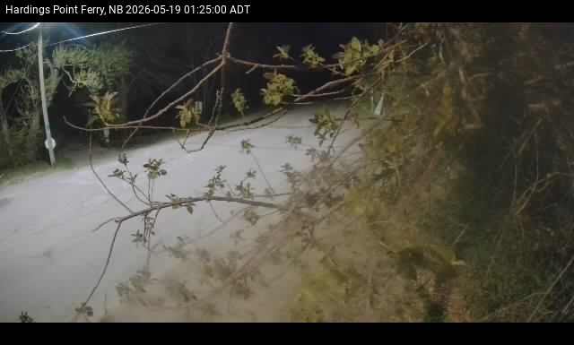 Web Cam image of Hardings Point