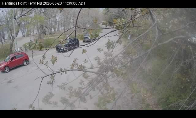 Web Cam image of Hardings Point