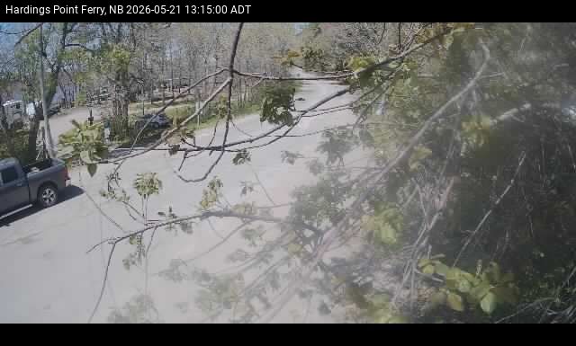 Web Cam image of Hardings Point