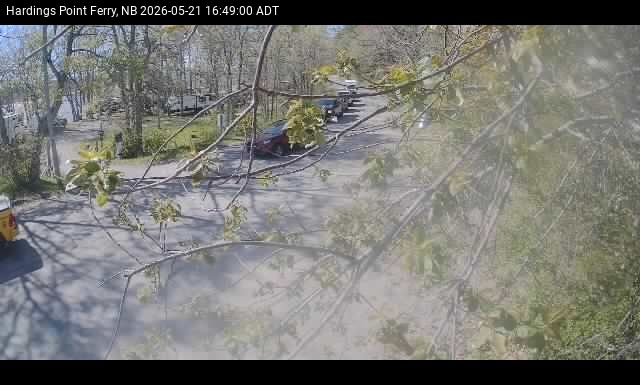 Web Cam image of Hardings Point