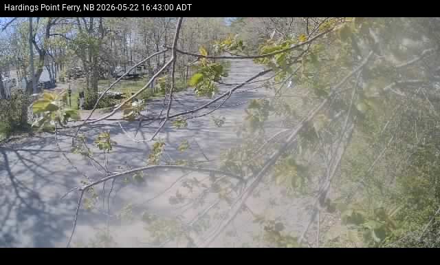 Web Cam image of Hardings Point