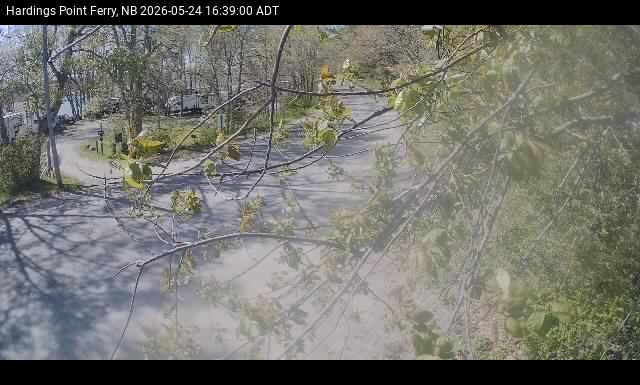 Web Cam image of Hardings Point