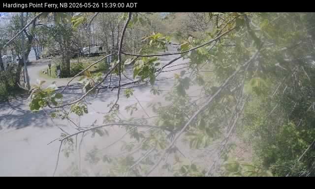 Web Cam image of Hardings Point