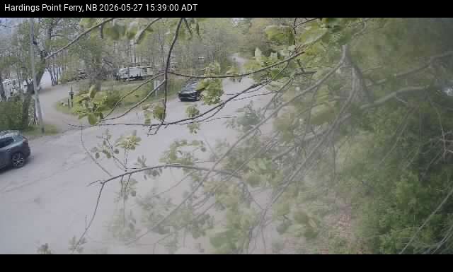 Web Cam image of Hardings Point