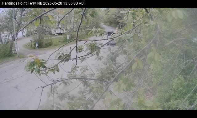 Web Cam image of Hardings Point