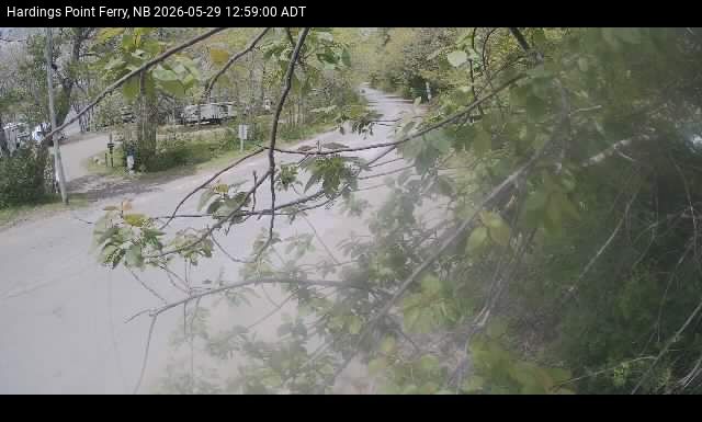 Web Cam image of Hardings Point