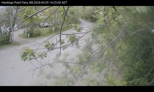 Web Cam image of Hardings Point