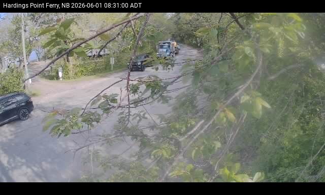 Web Cam image of Hardings Point
