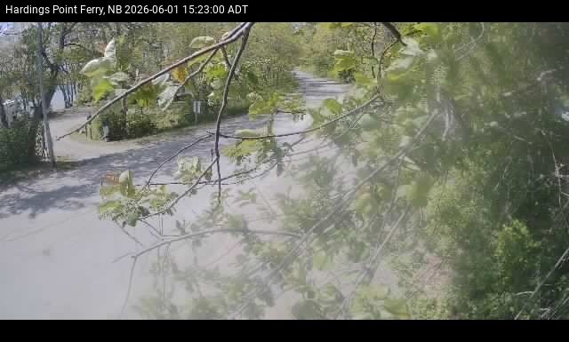 Web Cam image of Hardings Point