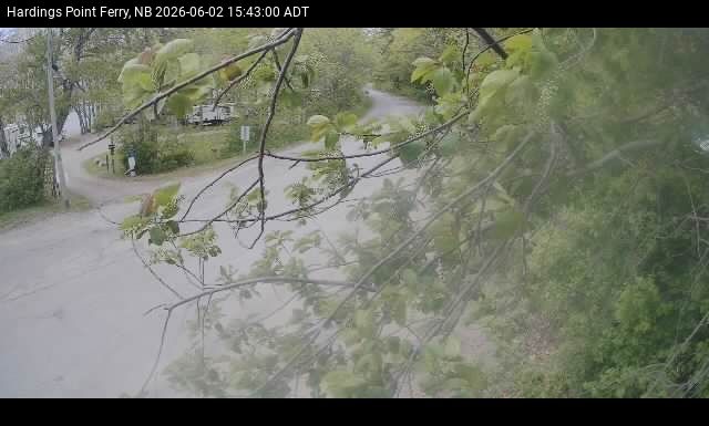 Web Cam image of Hardings Point