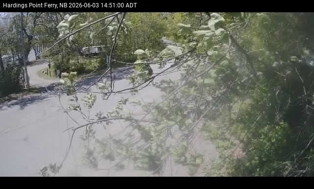 Web Cam image of Hardings Point