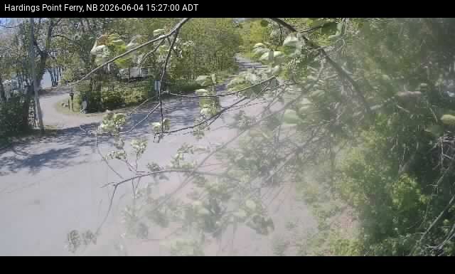 Web Cam image of Hardings Point