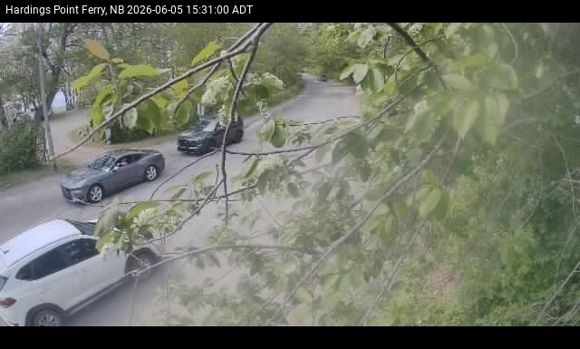 Web Cam image of Hardings Point