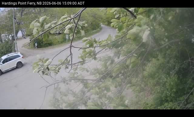 Web Cam image of Hardings Point