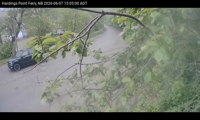 Web Cam image of Hardings Point