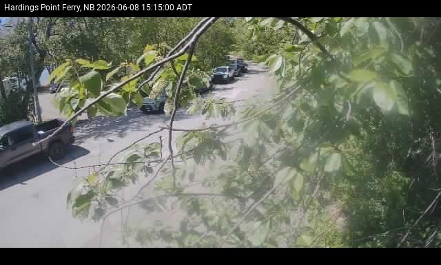 Web Cam image of Hardings Point