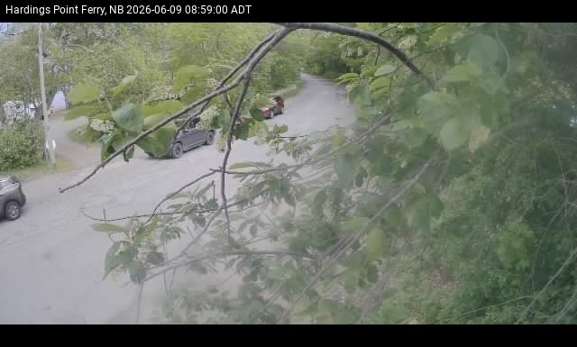 Web Cam image of Hardings Point