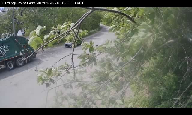 Web Cam image of Hardings Point