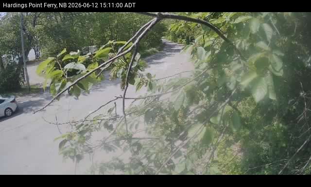 Web Cam image of Hardings Point