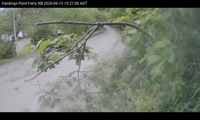 Web Cam image of Hardings Point