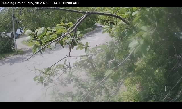Web Cam image of Hardings Point
