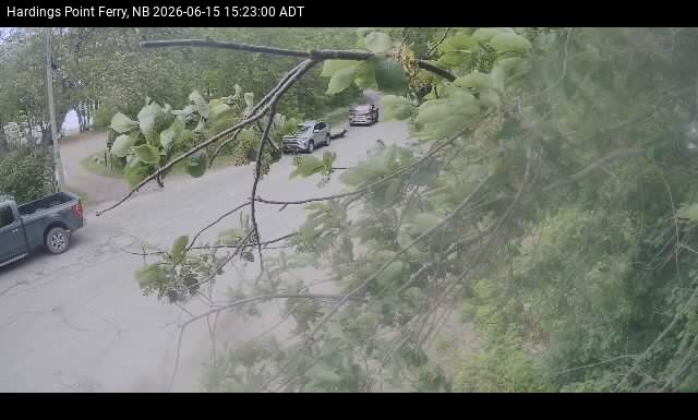 Web Cam image of Hardings Point