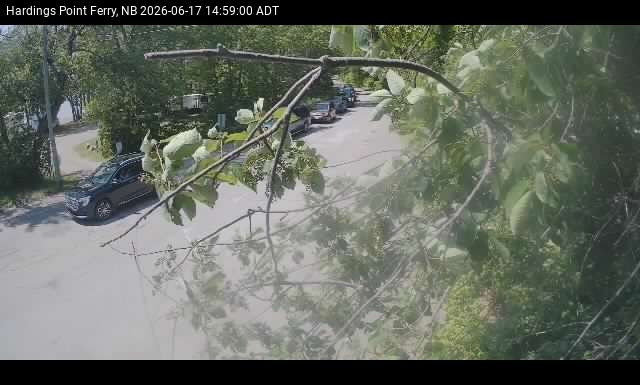 Web Cam image of Hardings Point