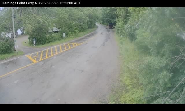 Web Cam image of Hardings Point