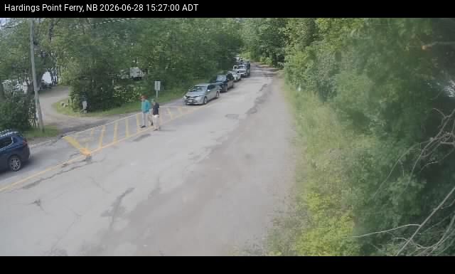 Web Cam image of Hardings Point