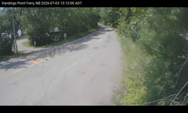 Web Cam image of Hardings Point