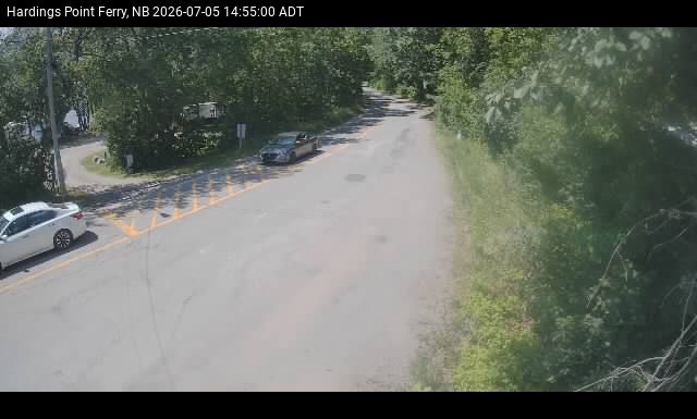 Web Cam image of Hardings Point