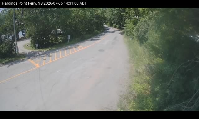 Web Cam image of Hardings Point