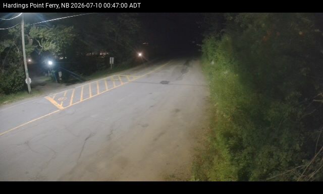 Web Cam image of Hardings Point