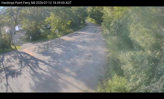 Web Cam image of Hardings Point